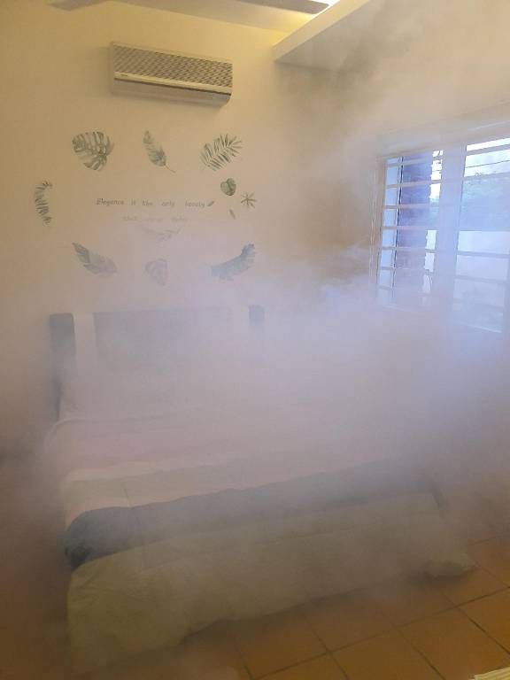 foto35