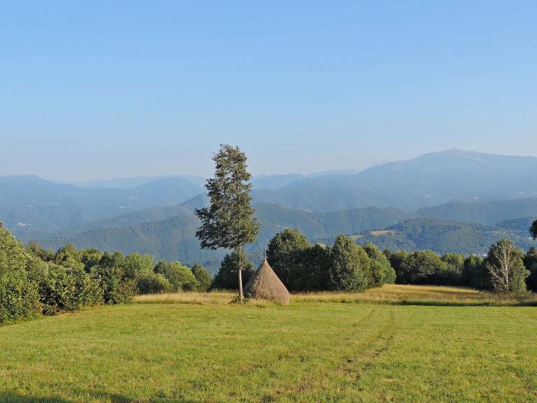 foto29