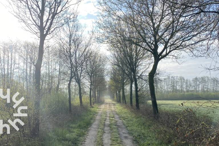 foto47