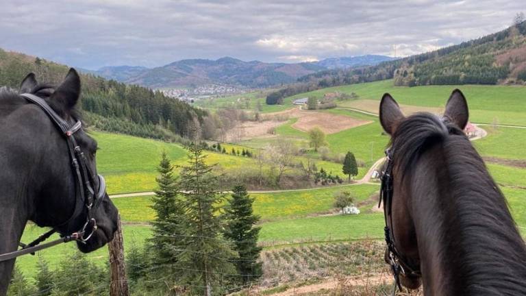 Ferienwohnung Seelbach