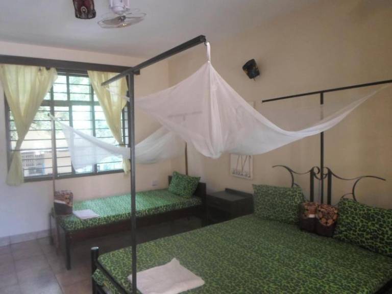 Climbers home in Moshi