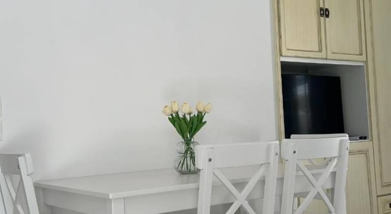 Apartment with terrace — photo 3