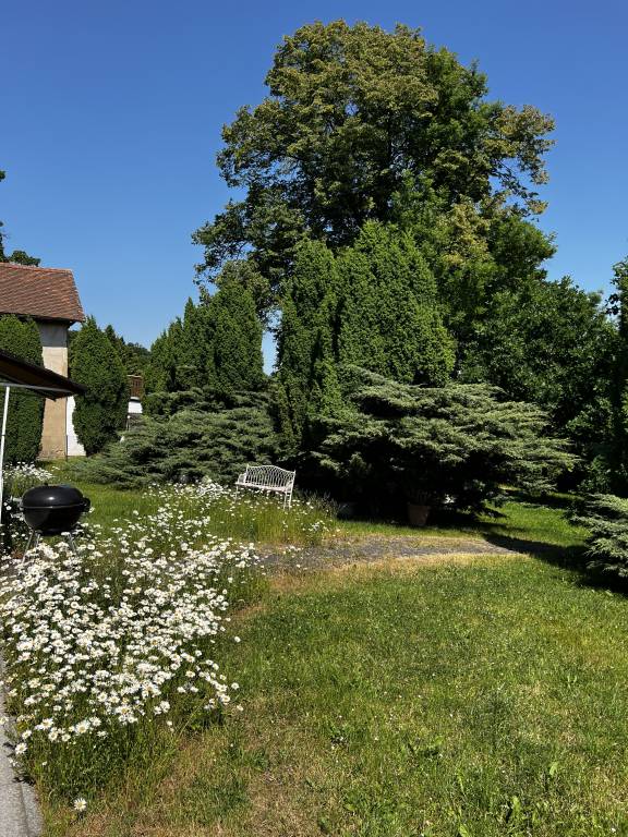 foto23