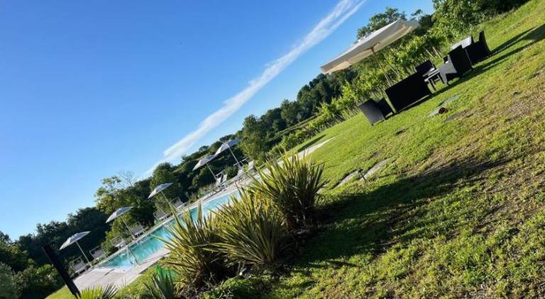 Farm with pool — photo 5