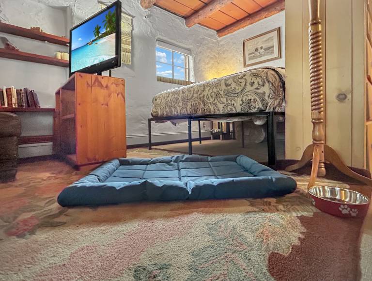 Duplex with yard & grill | Dogs allowed — photo 4