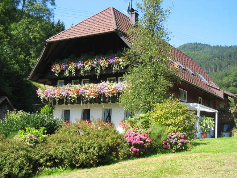 foto4