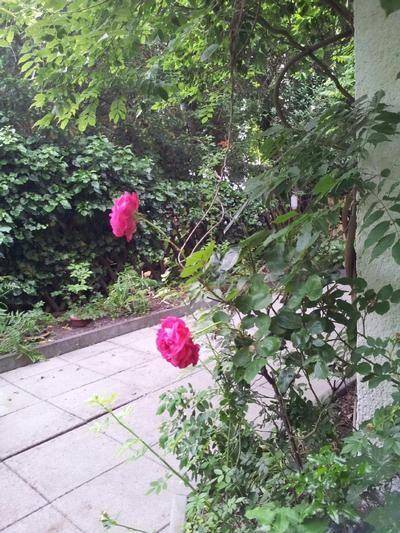 foto6