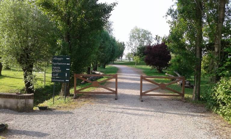 Agriturismo Il Bosco: Camera "LE MORE" — photo 5