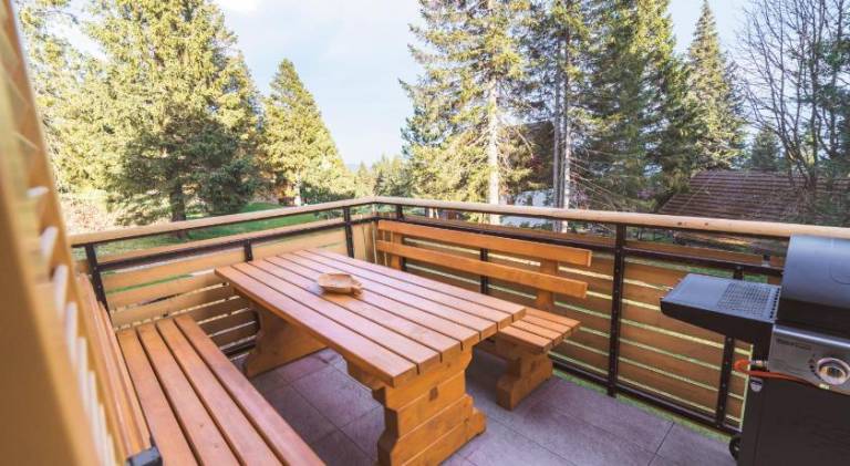 Family-oriented lovely rental apartment with terrace, barbecue & garden | Ski nearby | Pets are welcome — photo 5