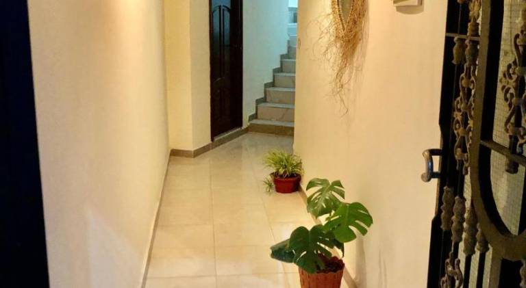 Holiday apartment with 1 room for 4 persons — photo 3