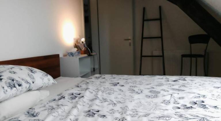 Basel Ruhige Zimmer mit grosse Doppelbett in Basel