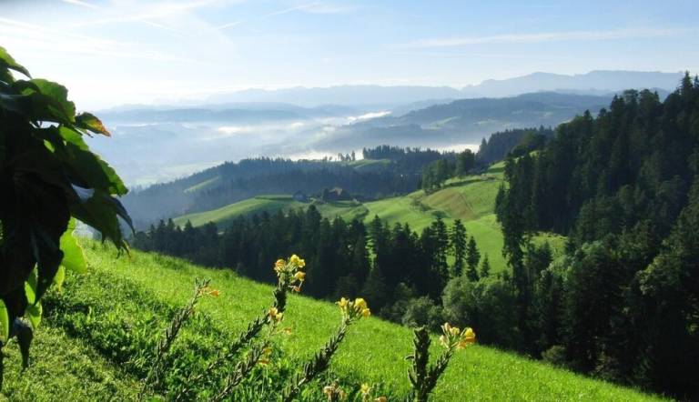 Ferienwohnung  Emmental