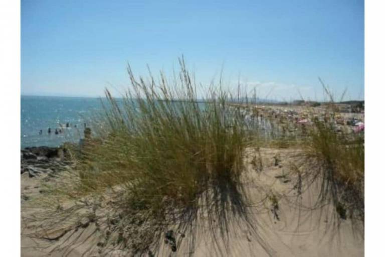 Maison de vacances Narbonne Plage