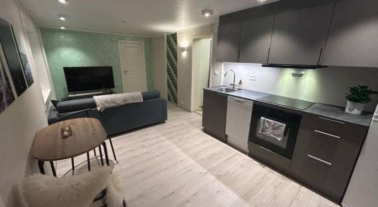 Pleasant apartment | Pets are welcome in Tromsø