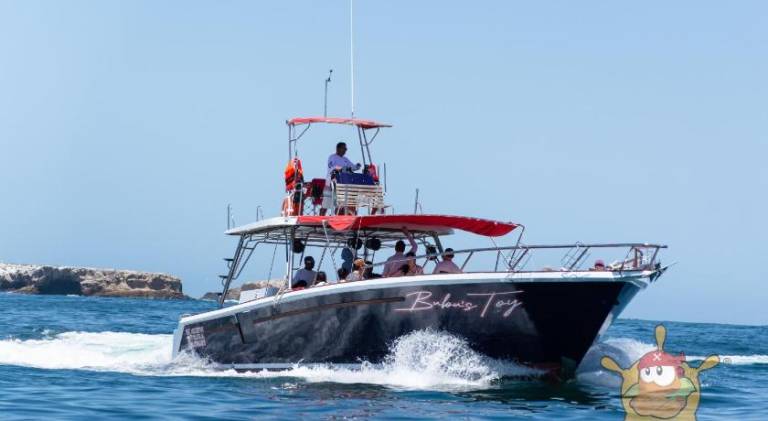 Boat | Pets are welcome in Puerto Vallarta