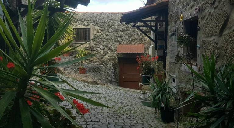 foto19