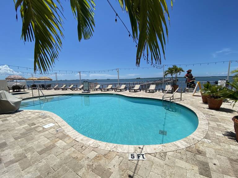 Condo  Dunedin