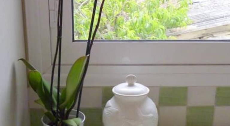 foto16