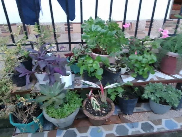 foto30