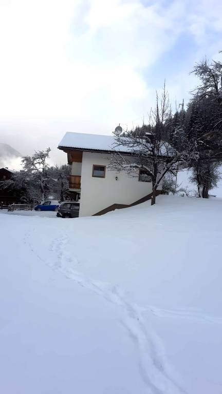 foto6