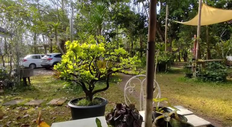 foto11