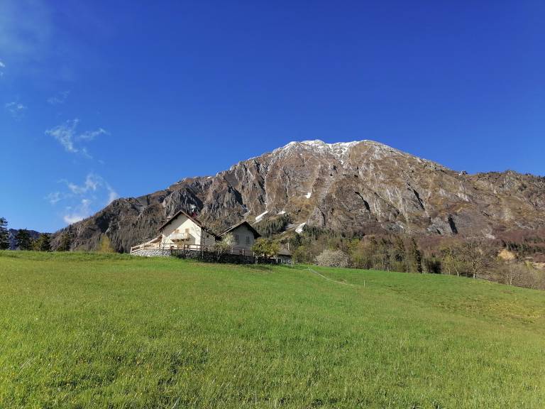foto29