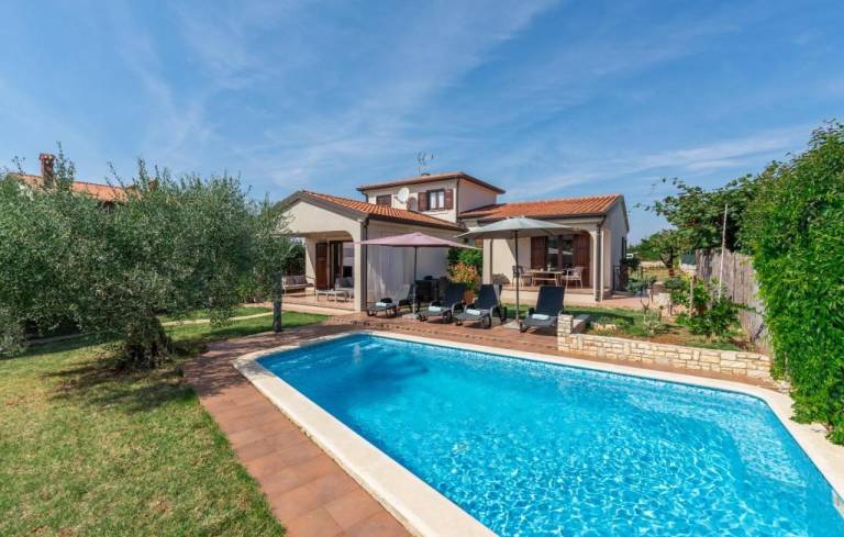 Fully equipped pleasant villa with barbecue, patio & private pool | Dogs allowed in Novigrad