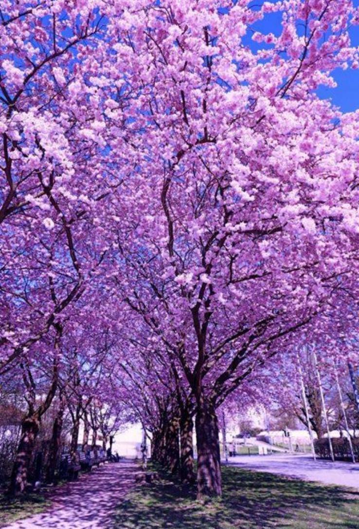 Ferienwohnung Bad Reichenhall