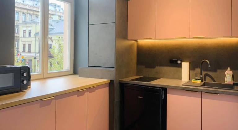 Serviced apartment | Pets are welcome — photo 4