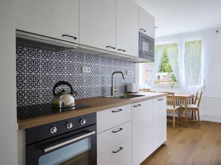 Apartmán  Lučany nad Nisou
