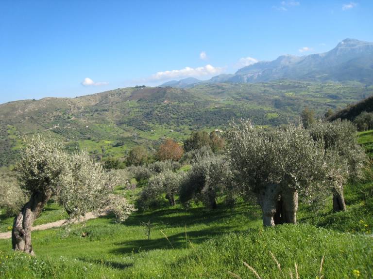 foto19