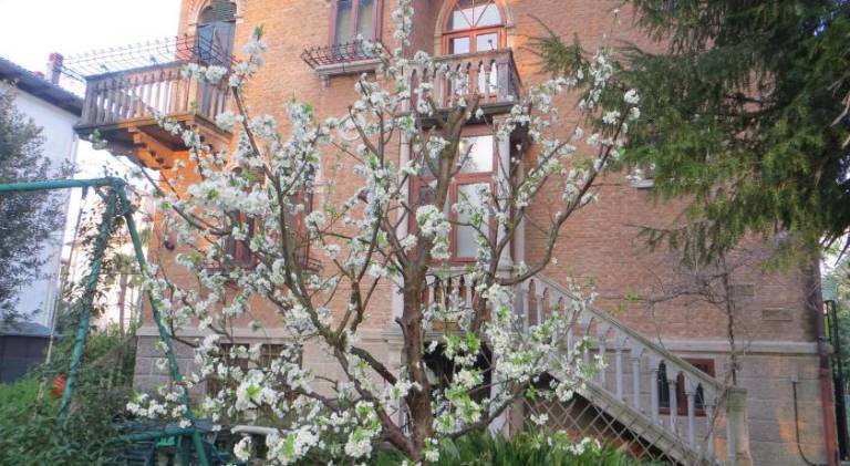 Bed and Breakfast Lido di Venezia