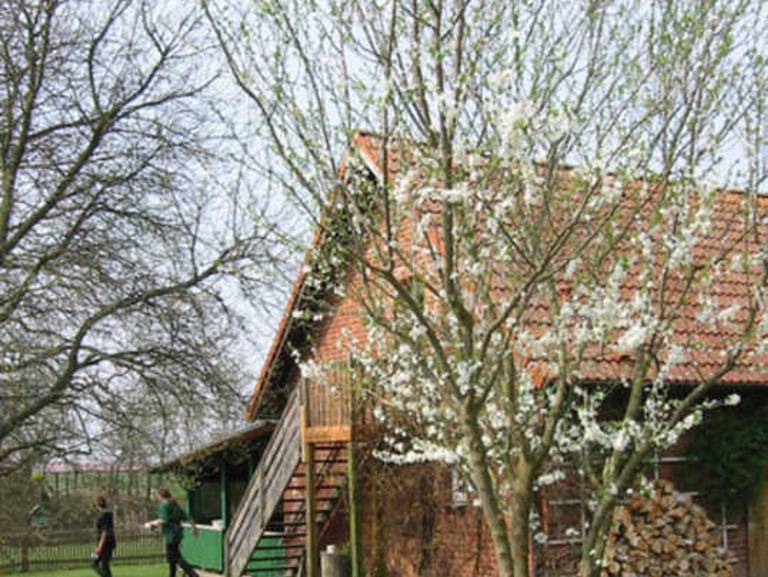 Bauernhof Mallin