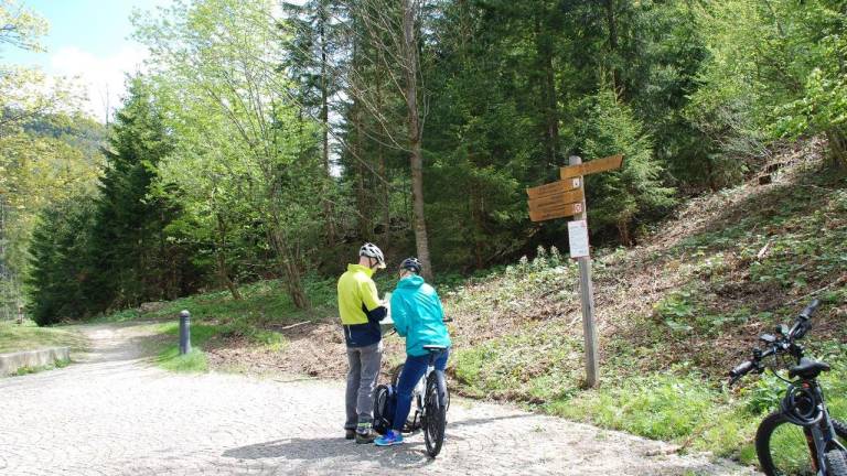 Ferienwohnung Frauenau