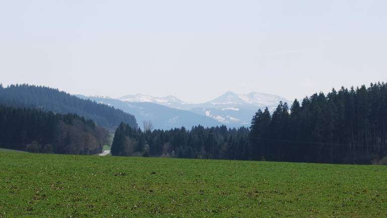 foto2