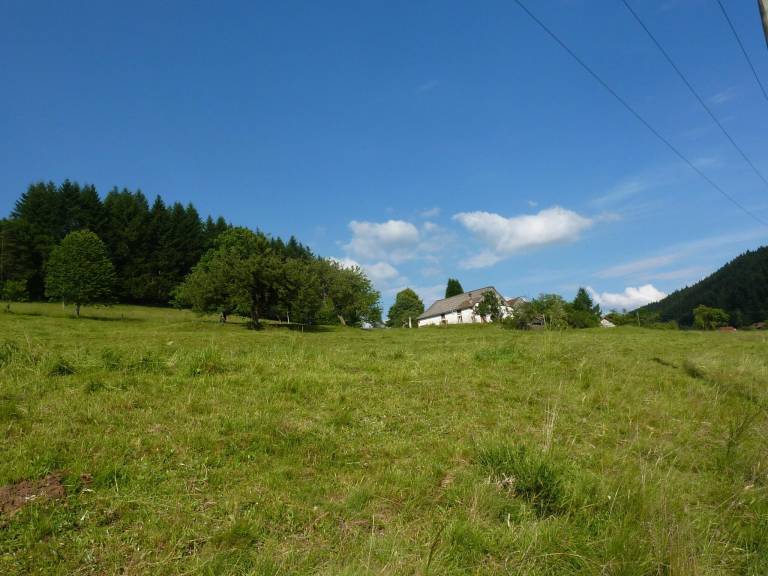 foto36