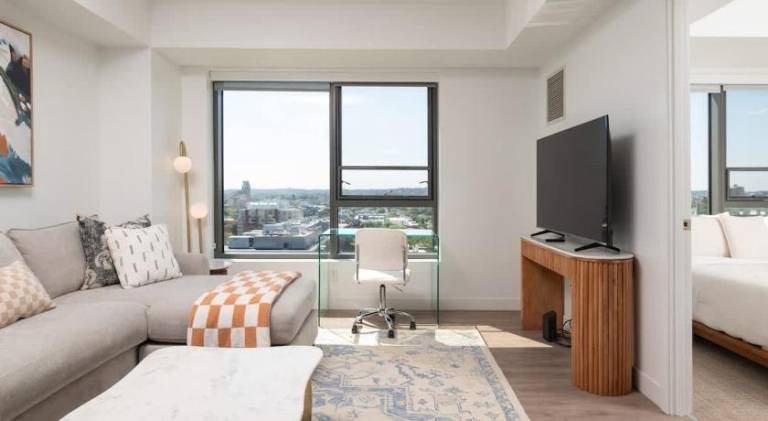 Wonderful apartment | Dogs allowed in Cambridge, MA