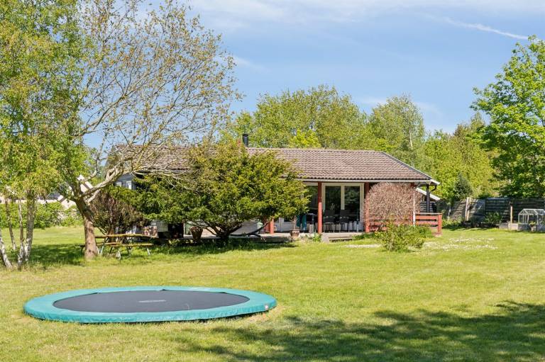 Ferienhaus mit Hund in Ellinge Lyng, Seeland für max. 6 Gäste