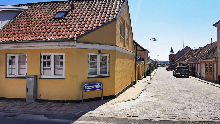 Ferienhaus  Dyreborg
