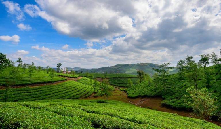Hus Vagamon