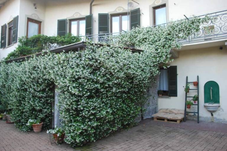Bed & Breakfast Pinerolo