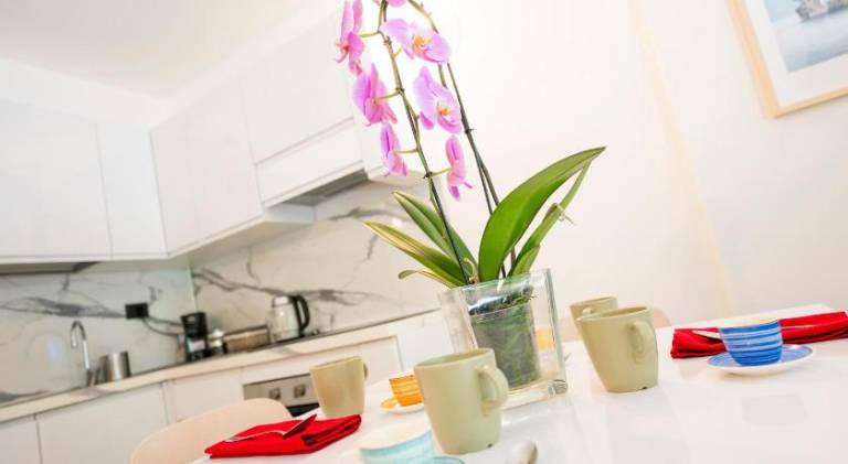 Apartment | Pets allowed in Malgrate