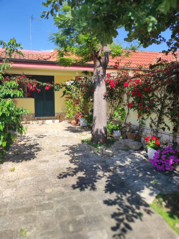 Vacation home with terrace, BBQ & yard | Beach nearby | Pet-friendly — photo 3