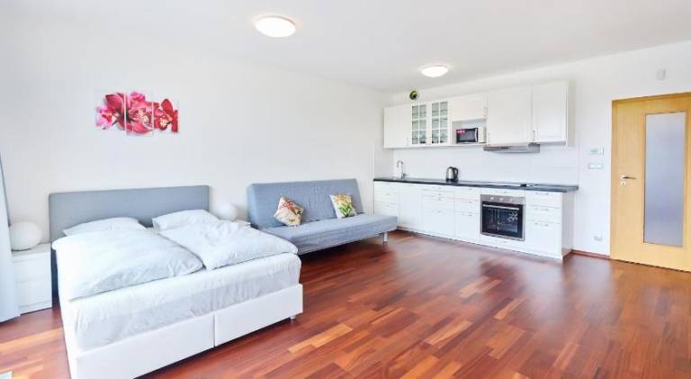 Charming apartment | Pets are welcome in Prague