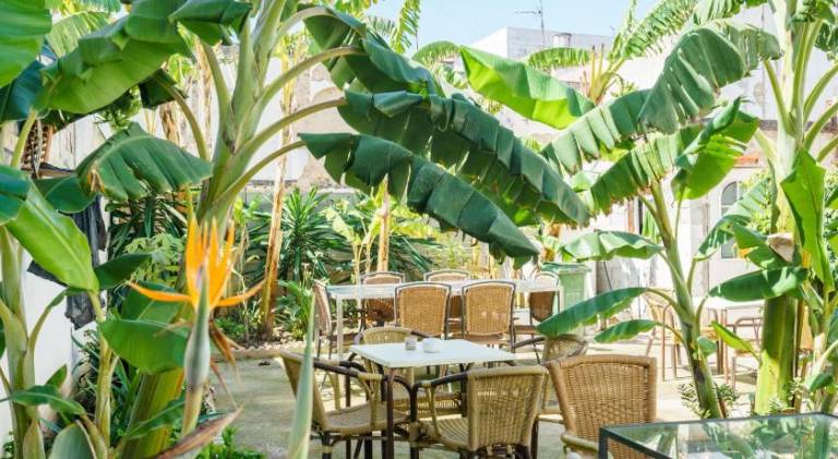 Hotel Carlos V Jerez by Vivere Stays — photo 3