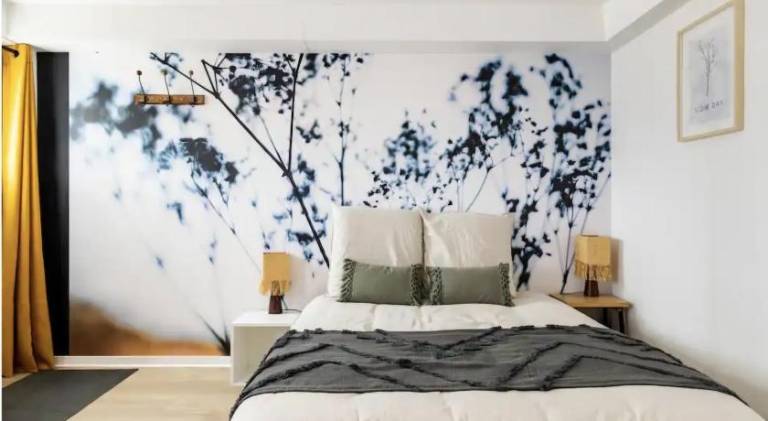 Charming apartment with jacuzzi | Dogs allowed in Montlucon