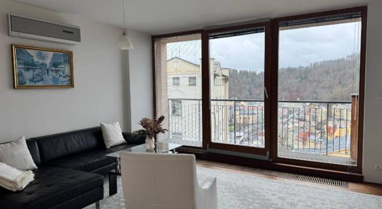 Beautiful rental apartment with jacuzzi | Dogs allowed in Karlovy Vary