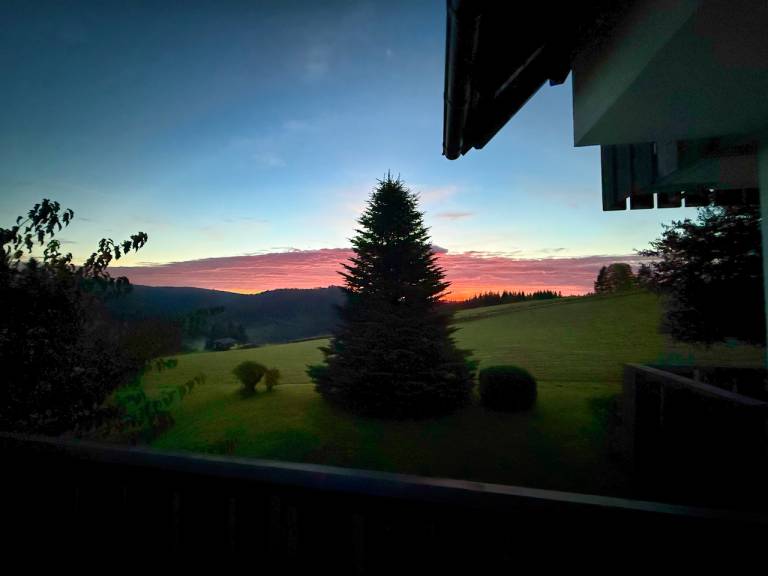 foto36