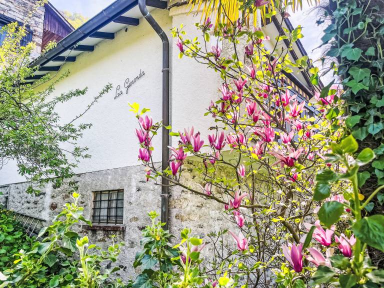 House with garden | Pets allowed — photo 3