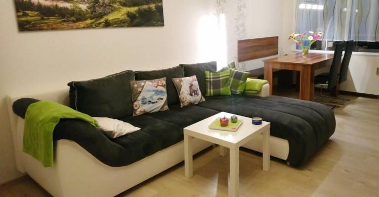 Apartament Altenau